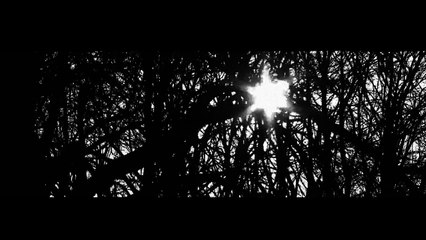 Zülfikar Özer - Ağla Sevgilim