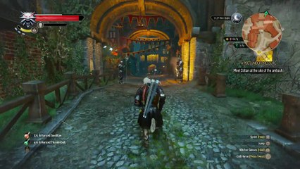 WITCHER 3 DEATH MARCH! WALKTHROUGH 198 - A POET UNDER PRESSURE & THE DWARVEN DOCUMENT DILEMMA