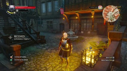 WITCHER 3 DEATH MARCH! WALKTHROUGH 202 - CABARET