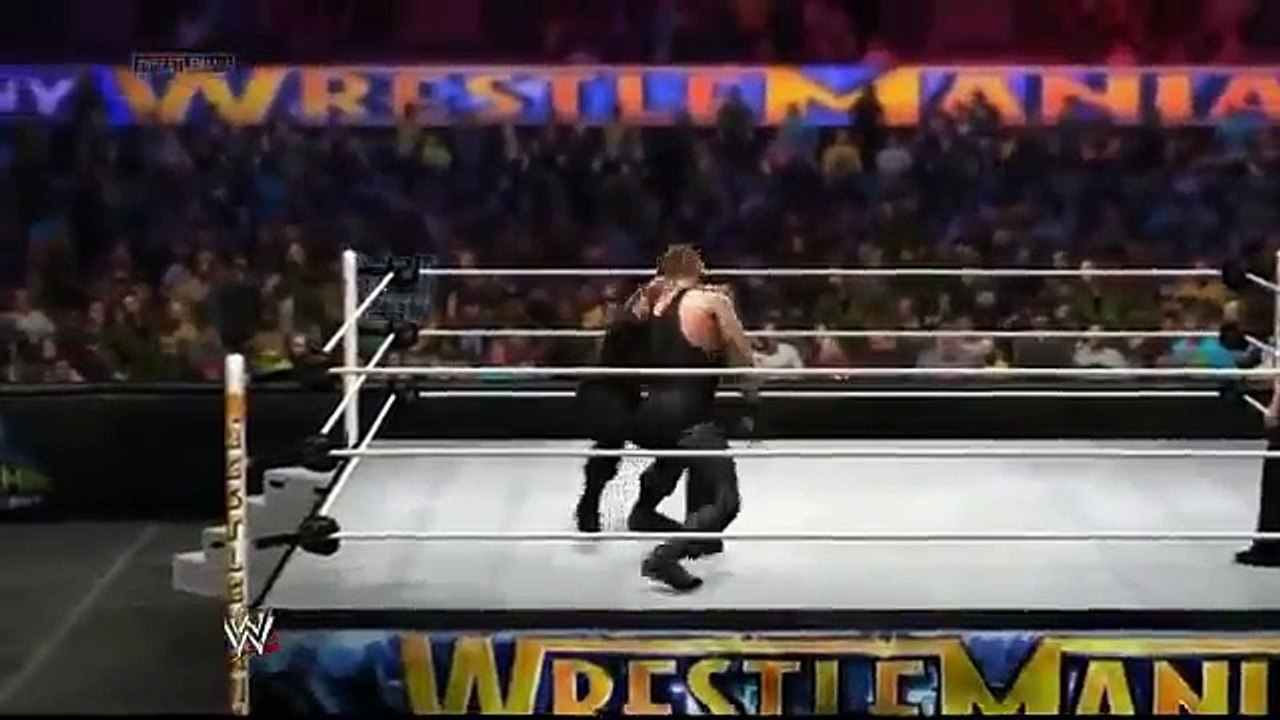 Undertaker vs Roman Reigns WWE 2014