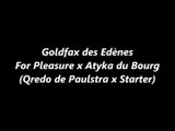 Goldfax des Edènes ou du poulain pataud à la puissance du futur crack