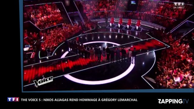 The Voice 5 – Grégory Lemarchal : Nikos Aliagas lui rend hommage et lui dédie l’émission (Vidéo)