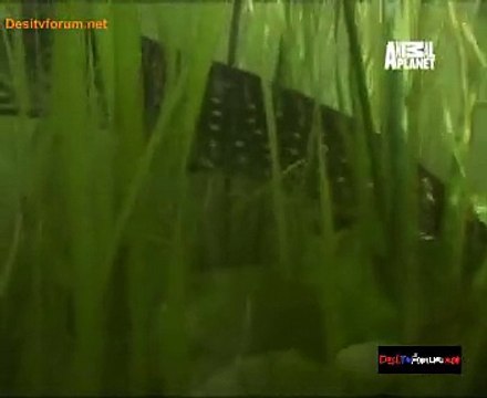 Animal Planet Safari 9th October 2014 Video Watch Online pt3