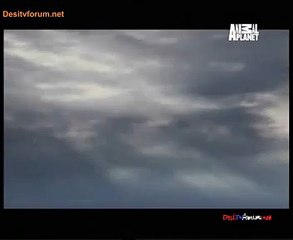 River Monsters 24th january 2015 Video Watch Online Pt3