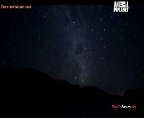 River Monsters (Season 5) 7th November 2014 Video Watch Online pt3