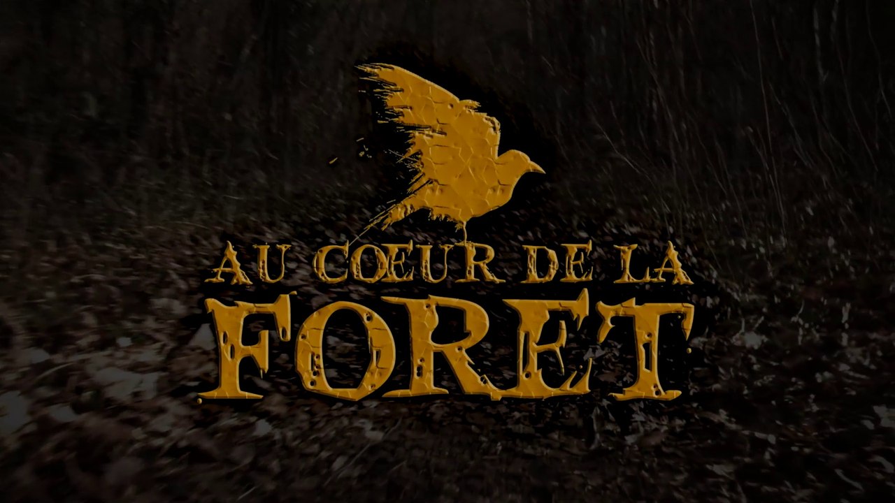 AU COEUR DE LA FORET