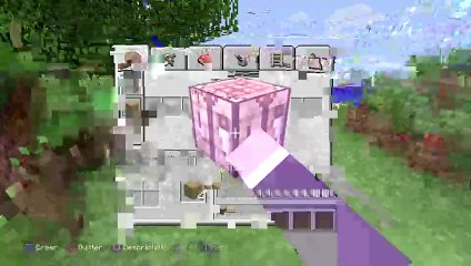 Road to trophée Platine : Minecraft PS4 (73)