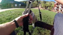Tips & Tricks for the Fetch Dog Harness | GoPro