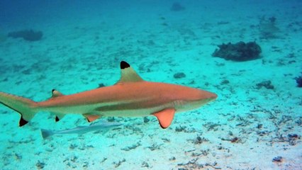 Lagon Tahaa 2