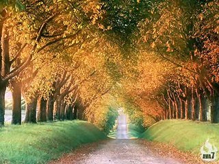 I Love You Jesus By Pervaiz Shaan - Christian Urdu Song