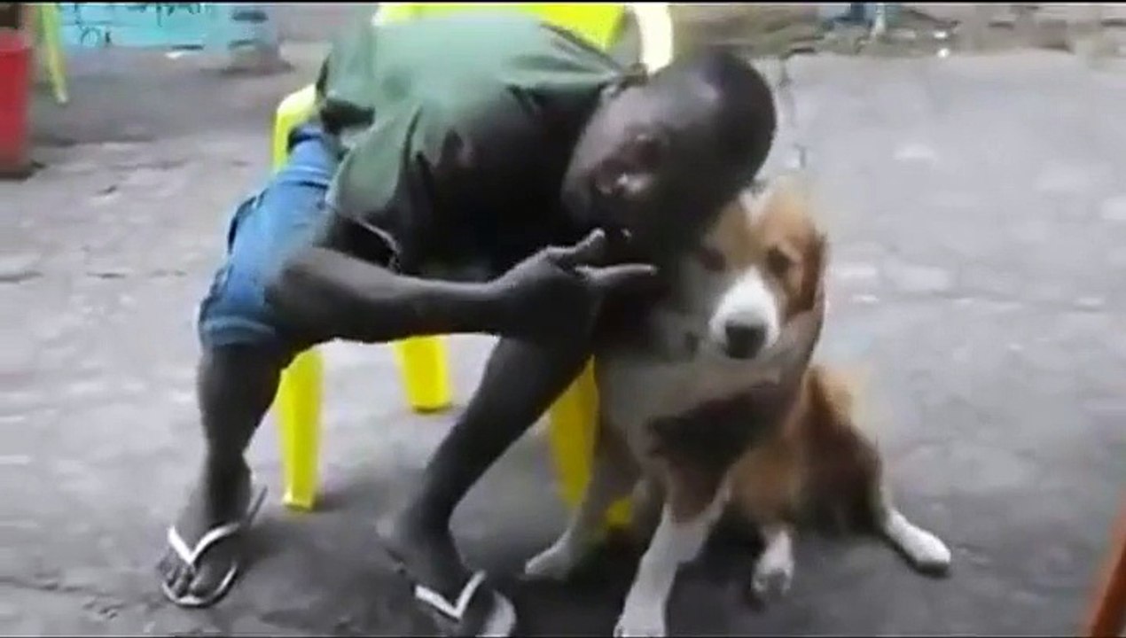 Il ne faut surtout pas embêter un chien ...