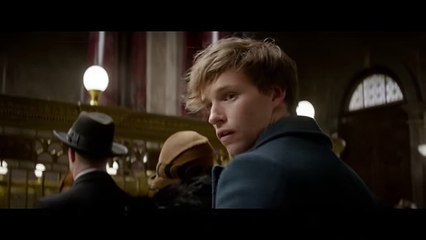 Fantastic Beasts and Where to Find Them Official Teaser Trailer #1 2016