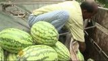 Bangladesh: Climate change impacts watermelon farmers