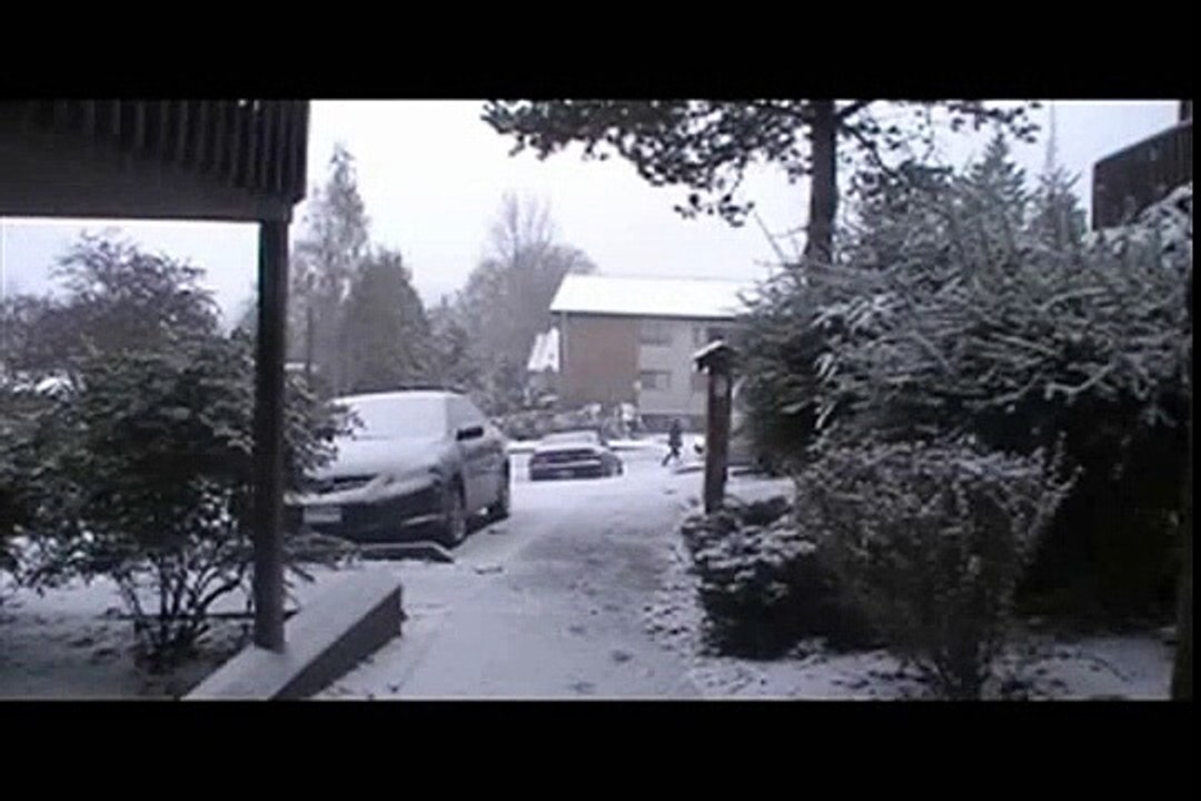 The 11/22/2010 Washington snow storm- Let it Snow