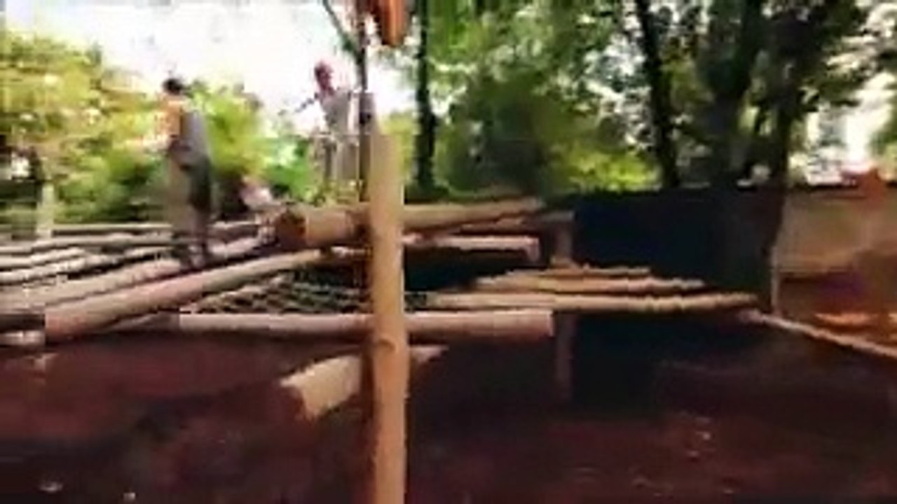 Amazing Stunts like Pro