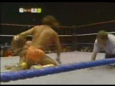 WWF 89 - Macho Man' Randy Savage vs The Ultimate Warrior