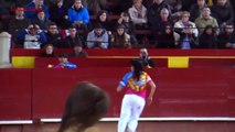 Bullfighting funny videos 2016 - Most awesome bullfighting festival