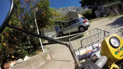 Ce Golden Retriever vous apporte le courrier