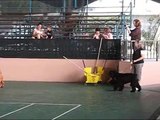 Bouvier des Flandres, Olive - First Obedience Trial - Hilo, Hawaii - 6.12.11 .wmv