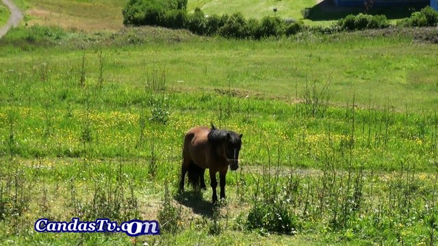 Paisaje en la costa de Candás, Asturias