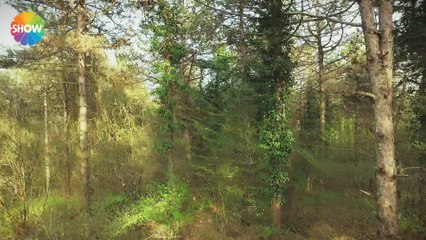 Oyunbozan 3. Bölüm_mAHIR YAMANER -SERHATT TUTUMLUER SAHNELERI (1)