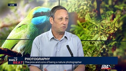 The pros and cons of being a nature photographer