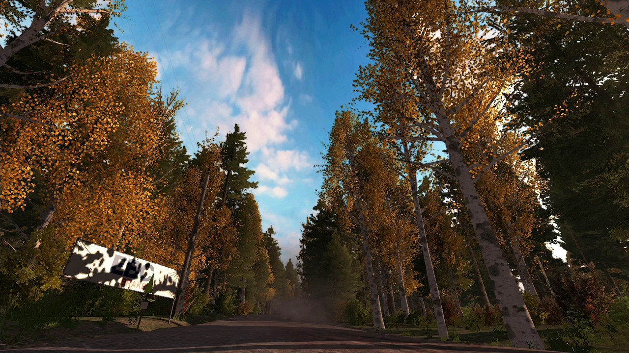 DiRT Rally