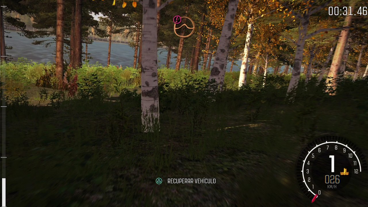 DiRT Rally