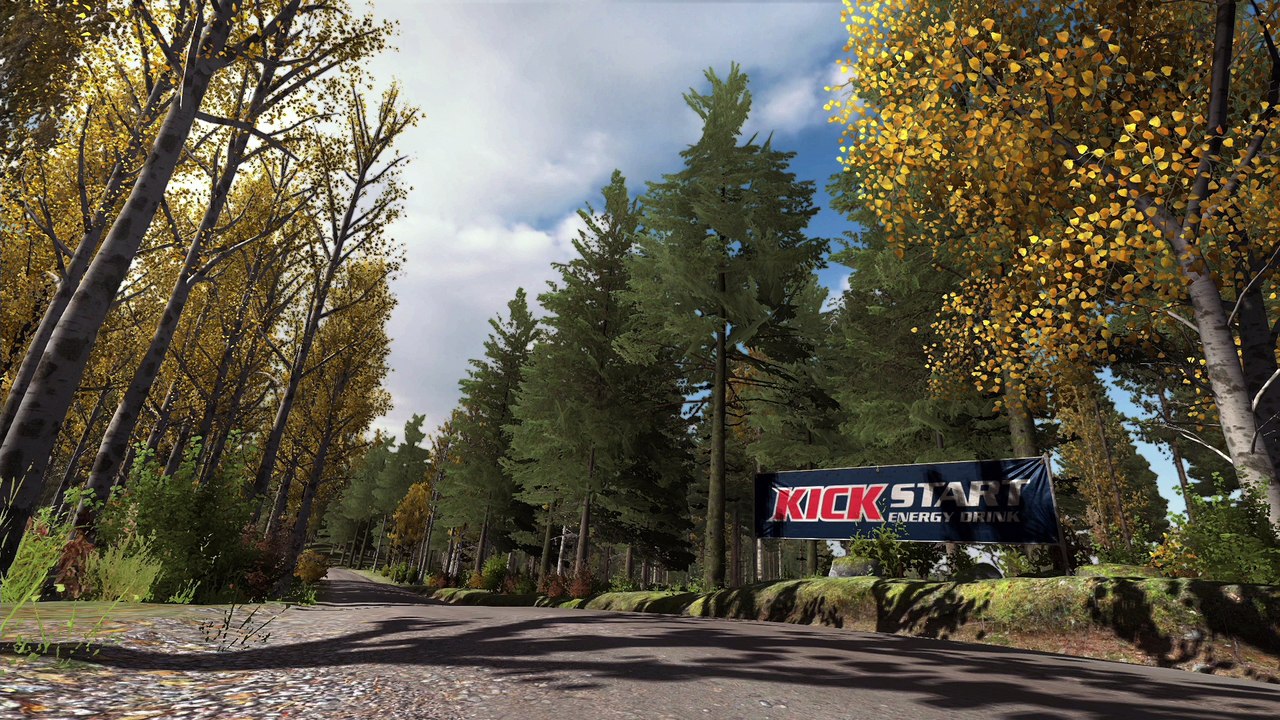 DiRT Rally