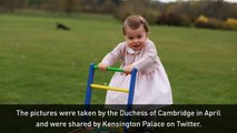 New photos released to mark Princess Charlotte's birthday