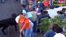 Funny bullfighting festival compilation - Funny videos try not to laugh stupid people #2
