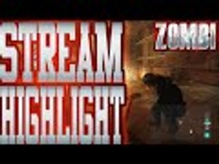Zombi Part 3.5 Finishing The Buckingham Palace Mission Stream Highlight