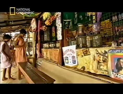 Killer Tigers of India National Geographic Documentary