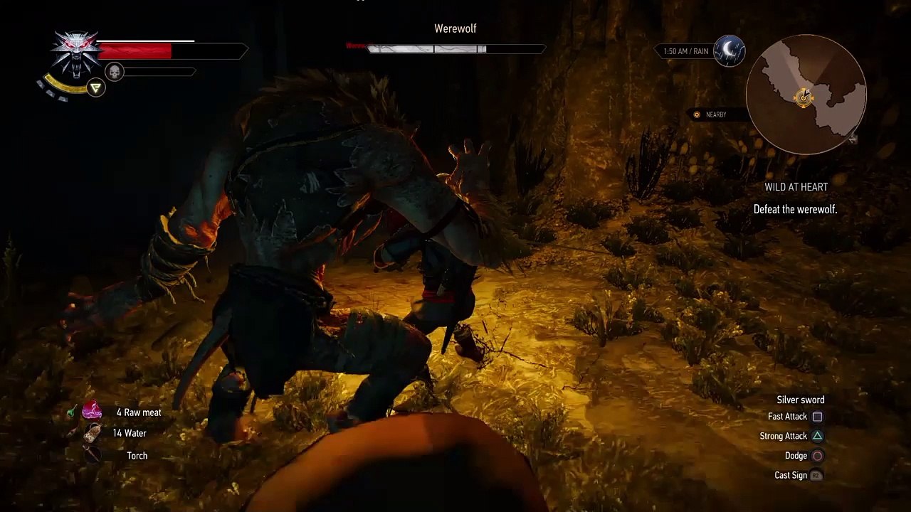 Witcher3_ werewolf