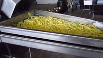Fresh Dondurulmuş Patates Makinası