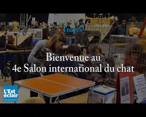 Bienvenue au salon du chat à Troyes