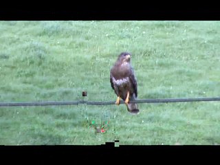 La Jungle des Genres 2 (-be-ce)