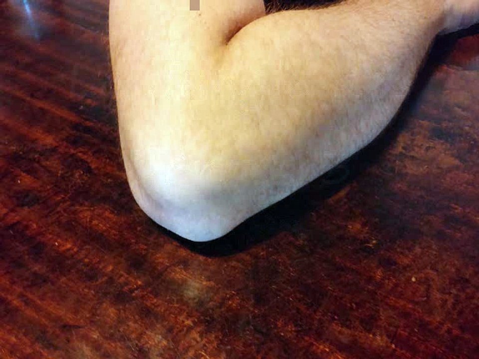 La Jungle des Genres 3 (-de)