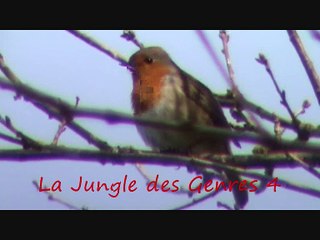 La Jungle des Genres 4 (-fe-ge)