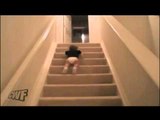 Funny baby sliding down stairs-Funny Videos-Whatsapp Videos-Prank Videos-Funny Vines-Viral Video-Funny Fails-Funny Compilations-Just For Laughs
