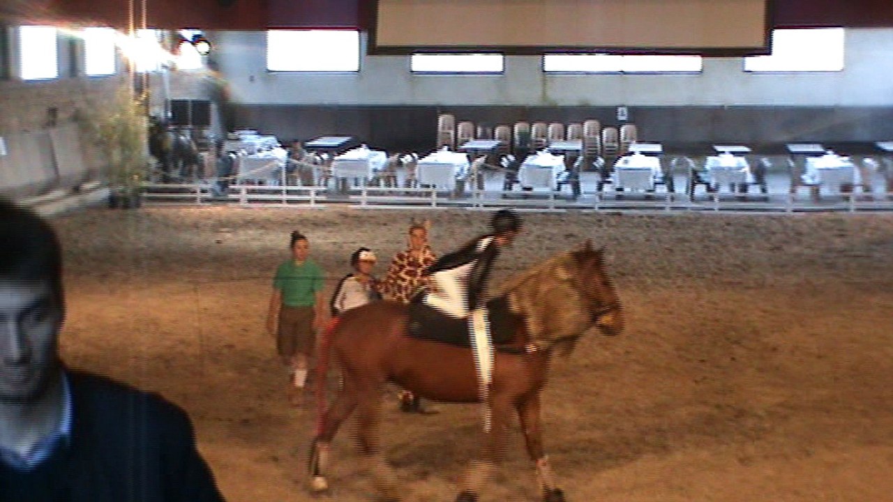 Le club le petit sam en sorti au haras d'Uzès pour un concours de spectacle equestre