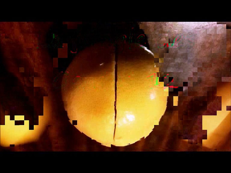 la Jungle des Genres 12 (-se)