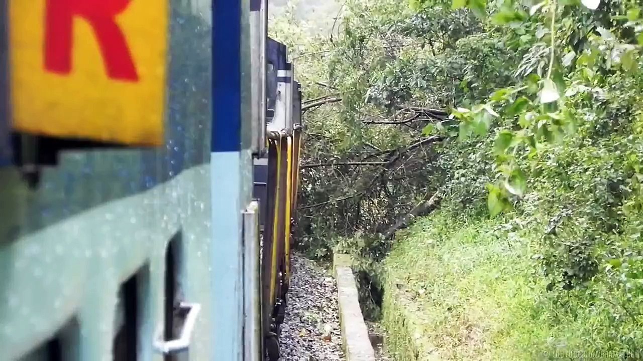 Dangerous - Train passing through a Uprooted Tree - Indian Railways