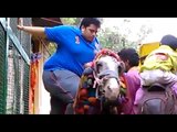 Funny Kid Trying To Climb Horse Fail n Fall-Funny Videos-Whatsapp Videos-Prank Videos-Funny Vines-Viral Video-Funny Fails-Funny Compilations-Just For Laughs