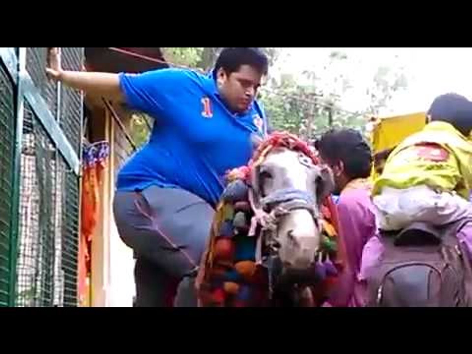 Funny Kid Trying To Climb Horse Fail n Fall-Funny Videos-Whatsapp Videos-Prank Videos-Funny Vines-Viral Video-Funny Fails-Funny Compilations-Just For Laughs