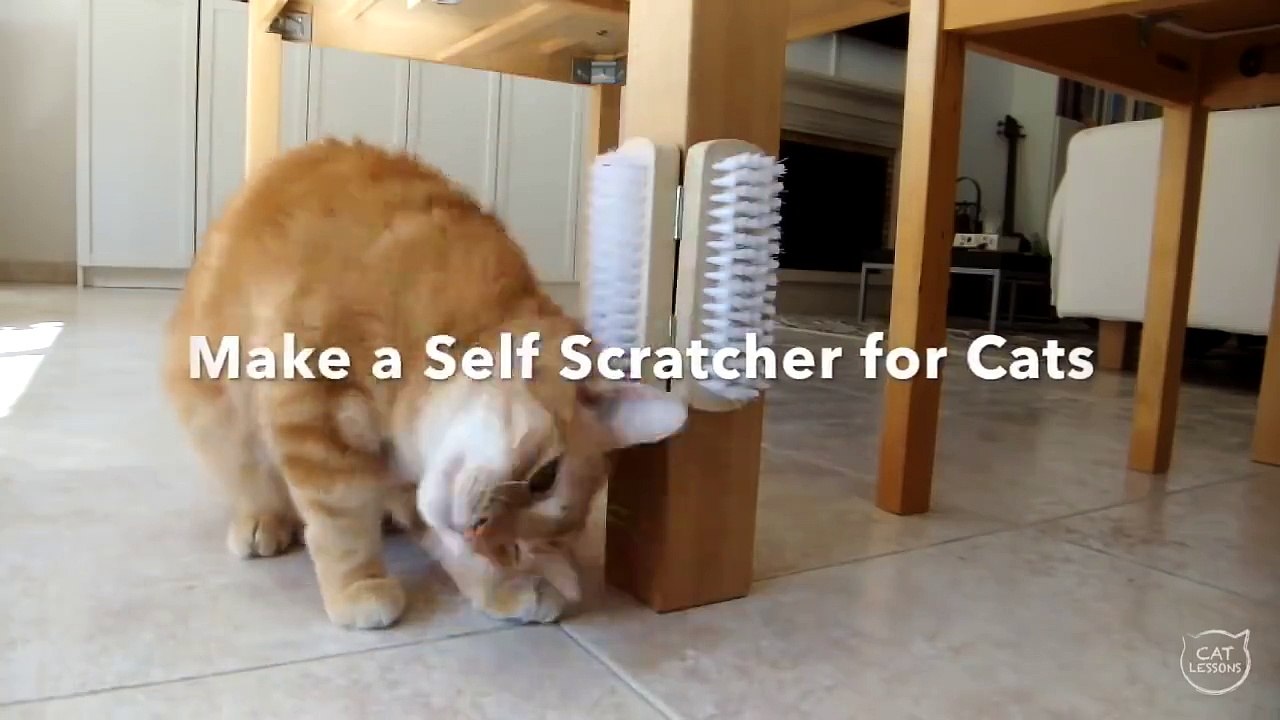 Cet homme est un génie ! Il ne faut que deux brosses ordinaires et deux charnières pour fabriquer cet objet !