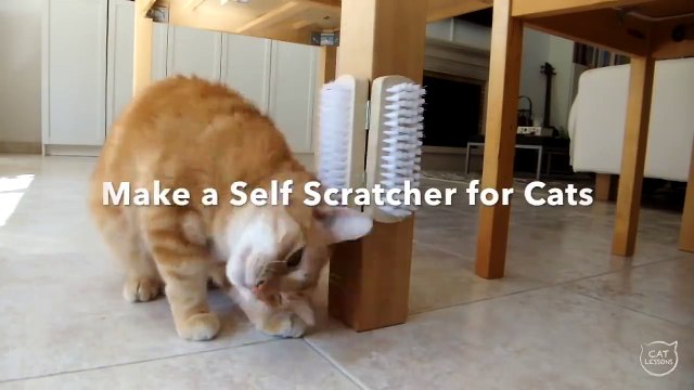 Cet homme est un génie ! Il ne faut que deux brosses ordinaires et deux charnières pour fabriquer cet objet !