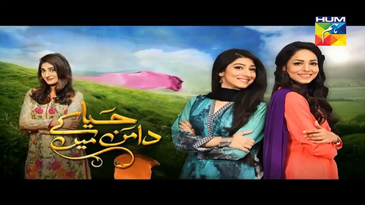 Haya Ke Daman Mein Episode 24 Promo Hum TV Drama 29 April 2016 Dailymotion