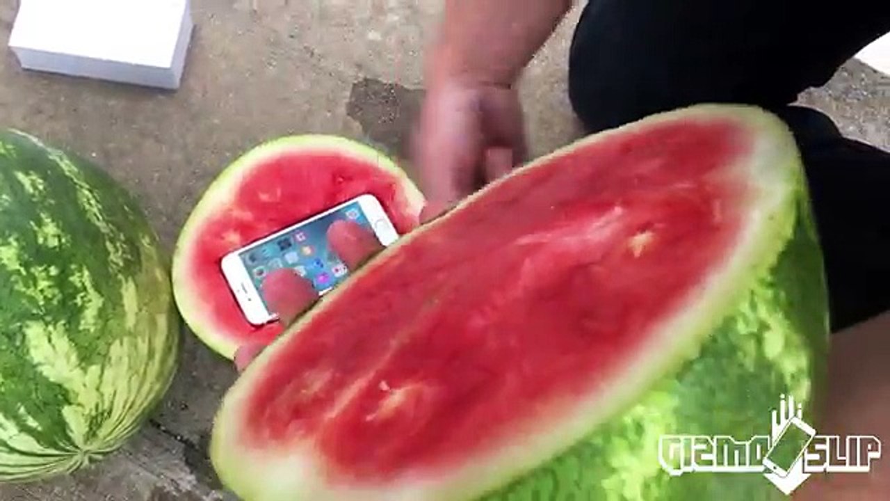 ---Can a Watermelon Protect iPhone 6s from 100 FT Drop Test- - GizmoSlip