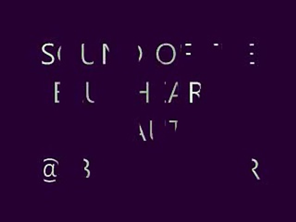 SOUND OF THE BLUE HEART "BEAUTY" @ BAR SINISTER 2-23-2008